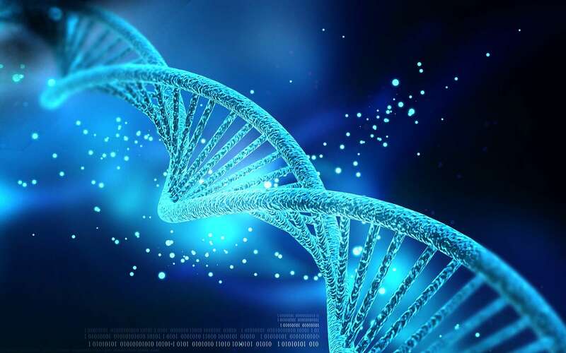 Top 4 đơn vị xét nghiệm ADN Lạng Sơn uy tín, giá rẻ nhất