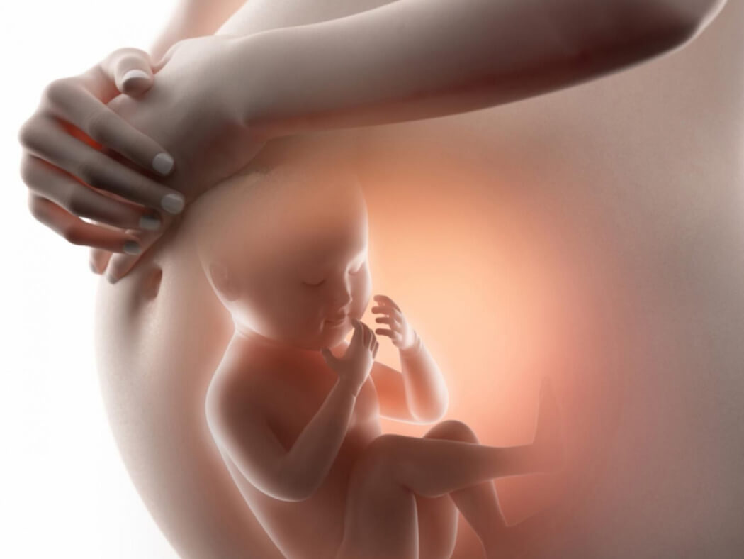 Phòng tránh dị tật thai nhi cho mẹ bầu